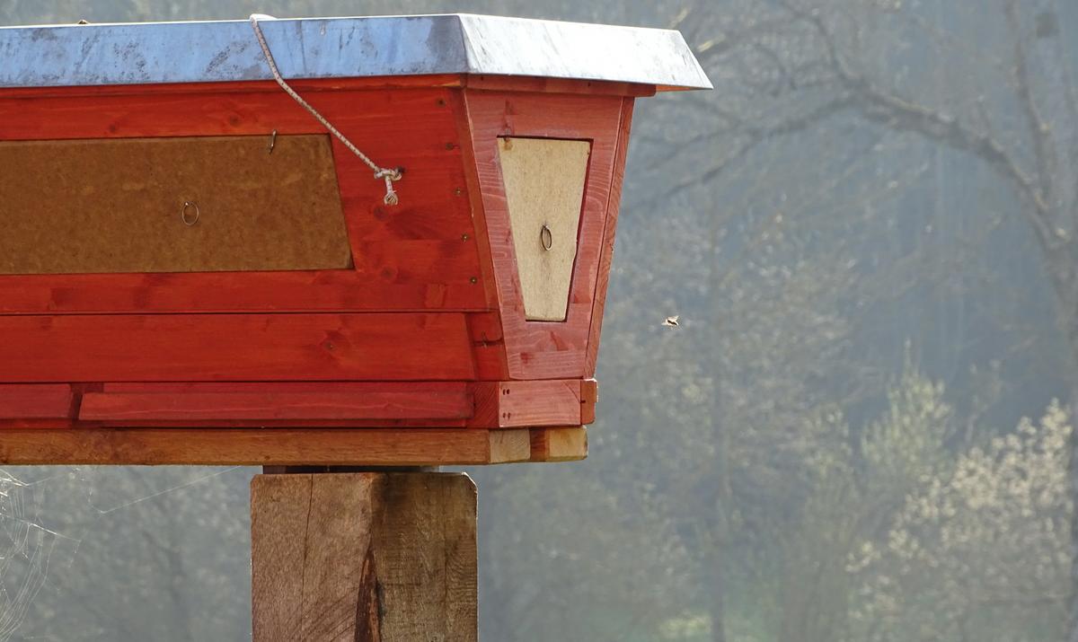 Top-Bar-Hive 