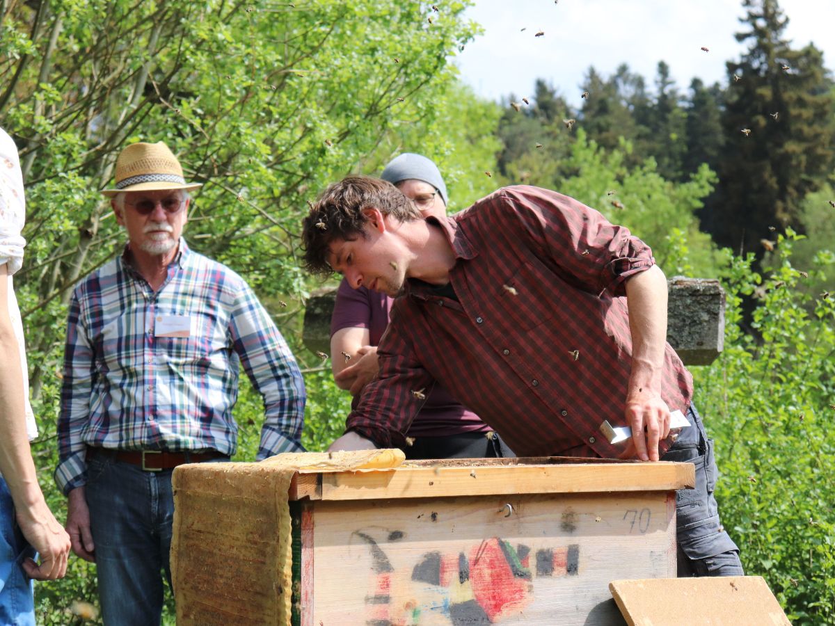 Seminar bei den Bienen.