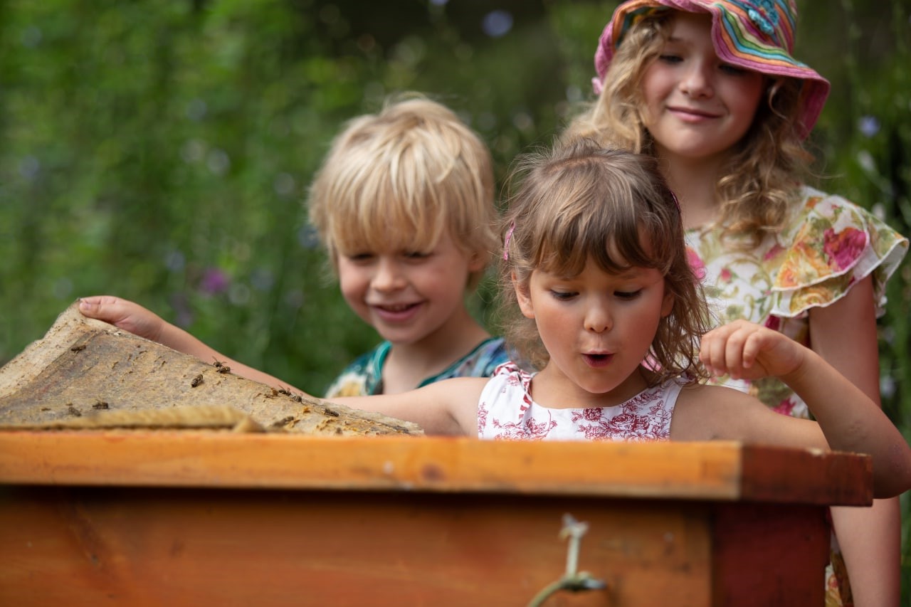 Foto: Bienen machen Schule
