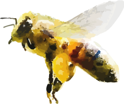 Biene